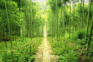 帶你邂逅湖南絕美景色,個個簡直美得像仙境