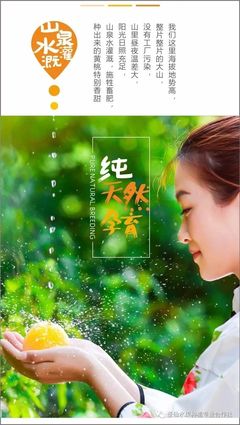 酥脆可口,回味無窮 攸縣的高山黃桃熟了