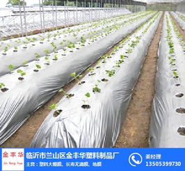 種植地膜價格 種植地膜 金豐華塑料制品廠