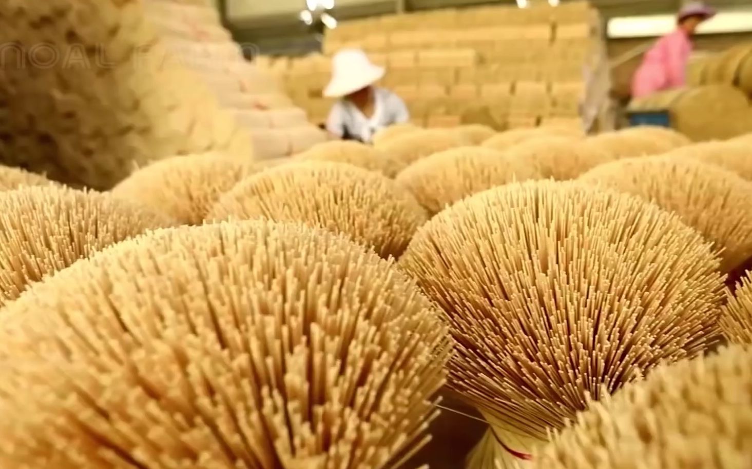 驚人的竹子種植技術 - 工廠竹制品加工 - 竹子收獲機